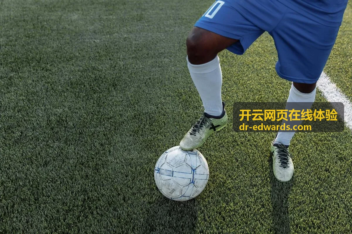 开云网页在线体验功能场景中的表单与进度界面
