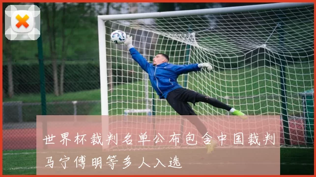 世界杯裁判名单公布包含中国裁判马宁傅明等多人入选