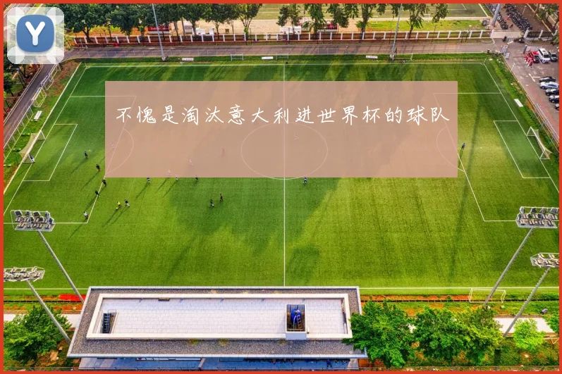 不愧是淘汰意大利进世界杯的球队