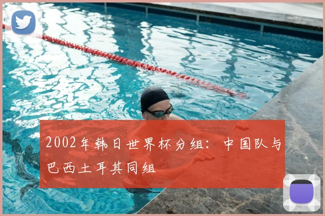2002年韩日世界杯分组:中国队与巴西土耳其同组
