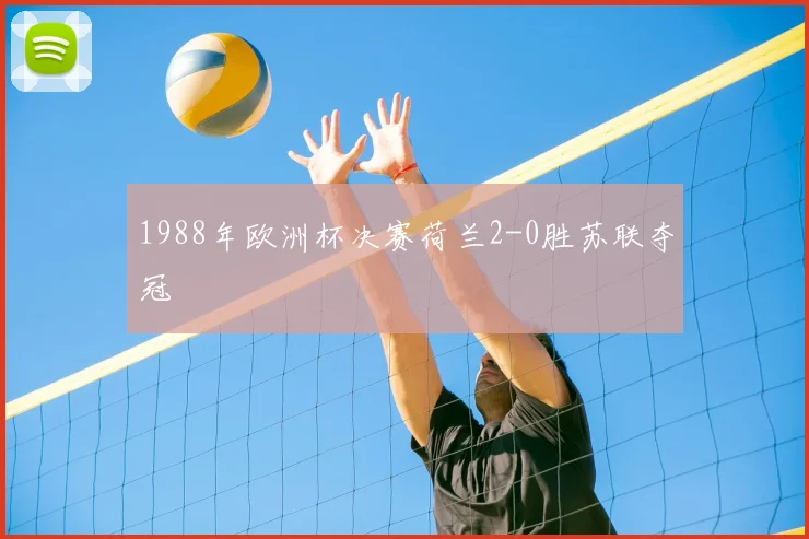 1988年欧洲杯决赛荷兰2-0胜苏联夺冠