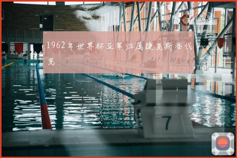 1962年世界杯亚军归属捷克斯洛伐克