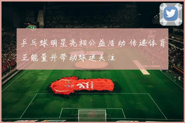 乒乓球明星亮相公益活动 传递体育正能量并带动球迷关注