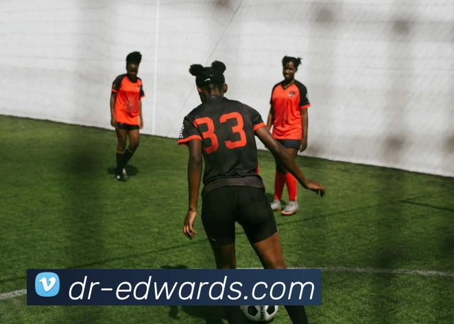 星空网页版入口平台生态图